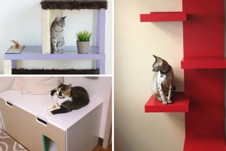 IKEA-Hacks für Katzen: 10 überraschend einfache Verwandlungen - Beitrag BilD Vorlagen 1 758x505